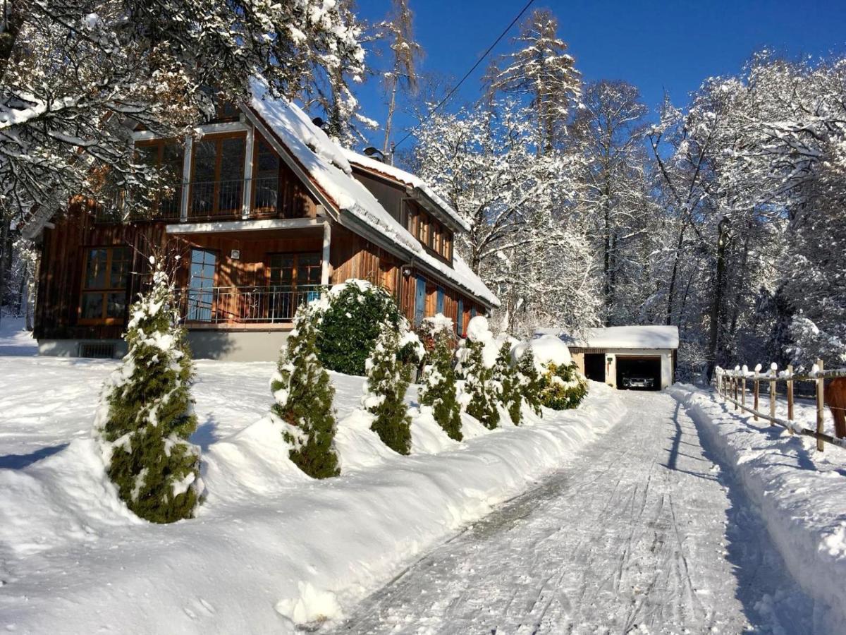 Ferienwohnung Im Alten Forsthaus Bermatingen Bagian luar foto